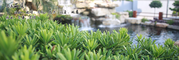 企業(yè)使命
